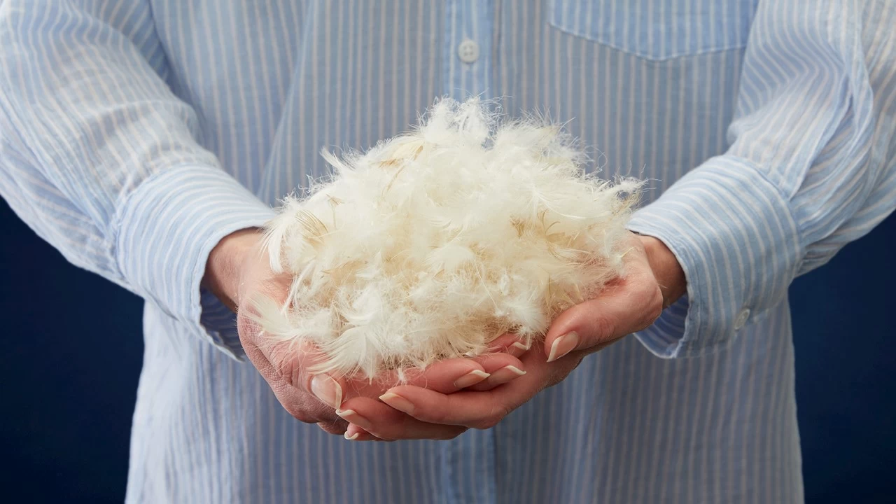 Dekbed Silvana Royale Warm 100% Dons Winter - Afbeelding 5