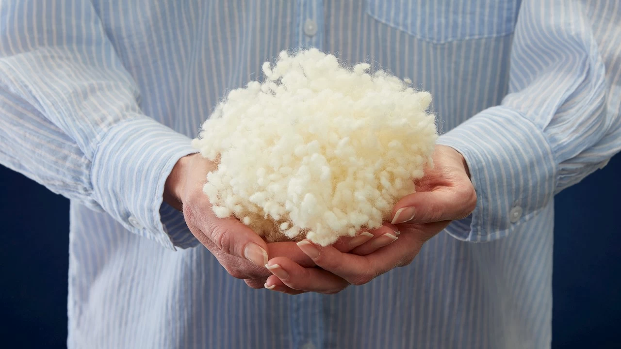 Dekbed Bovenste Beste Wol 4-seizoenen - Afbeelding 5